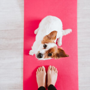 Liikuntaetu - maksa nyt, käytä myöhemmin