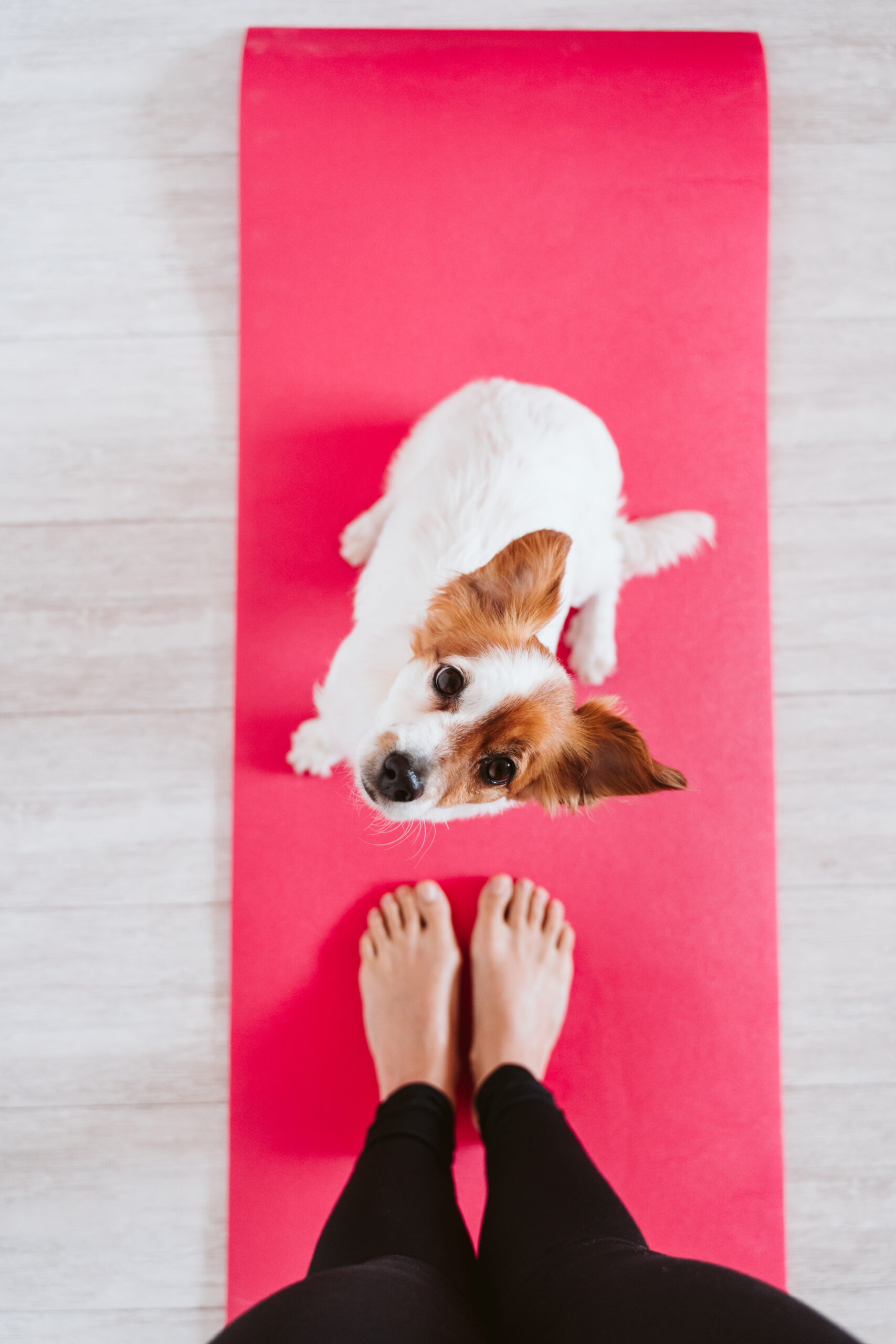 Liikuntaetu - maksa nyt, käytä myöhemmin