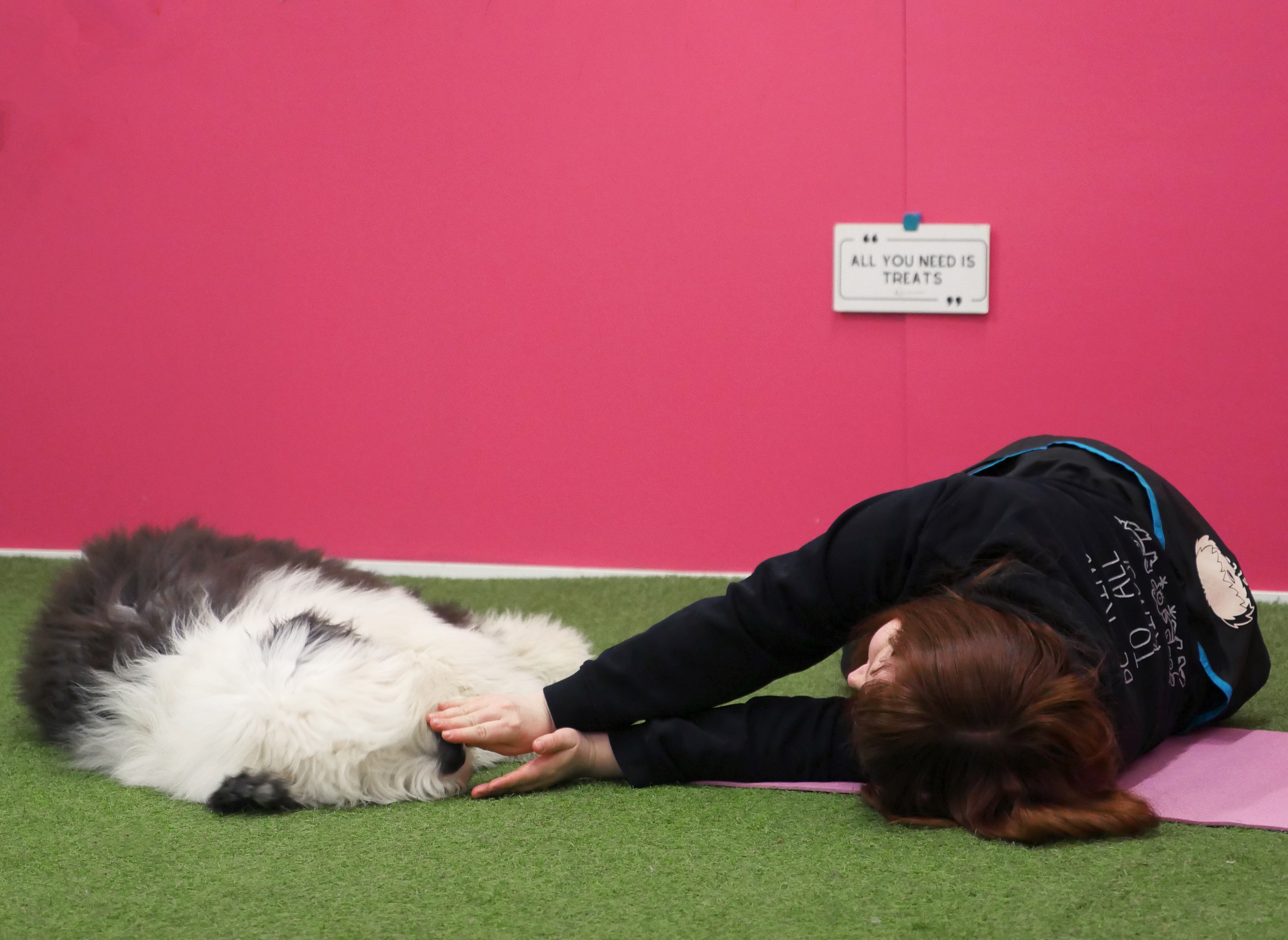 Koira ja ihminen rentoutuvat