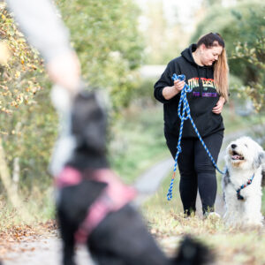 koirat kontaktissa lenkillä