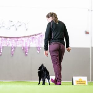 Ilonan vakiryhmät kevät 2026