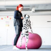 koira kiipeämässä dobo-pallon päälle
