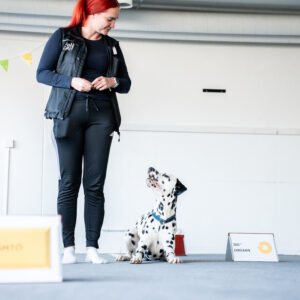 Koira ja ohjaaja rally-tokon radalla