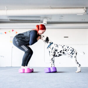 koira ja omistaja jumppaa tasapainotyytyillä