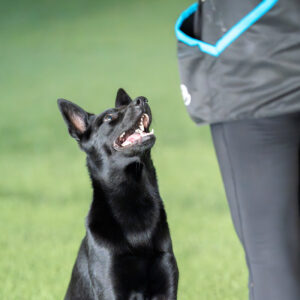 Kiikan vakiryhmät syksy 2025