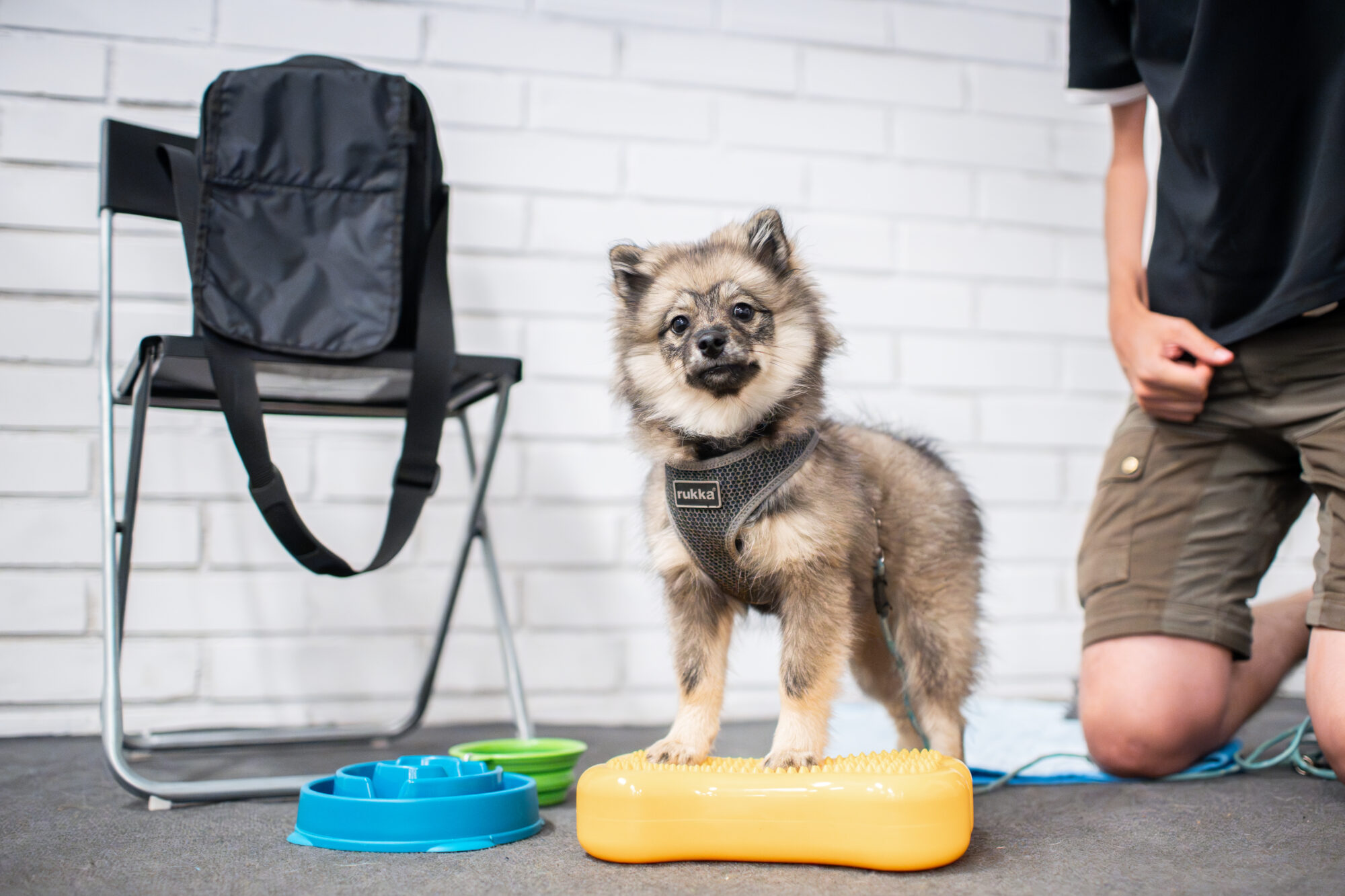 pentu seisoo etutassut tasapainotyynyllä