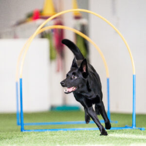 Hoopers ratatreenit jokaiselle