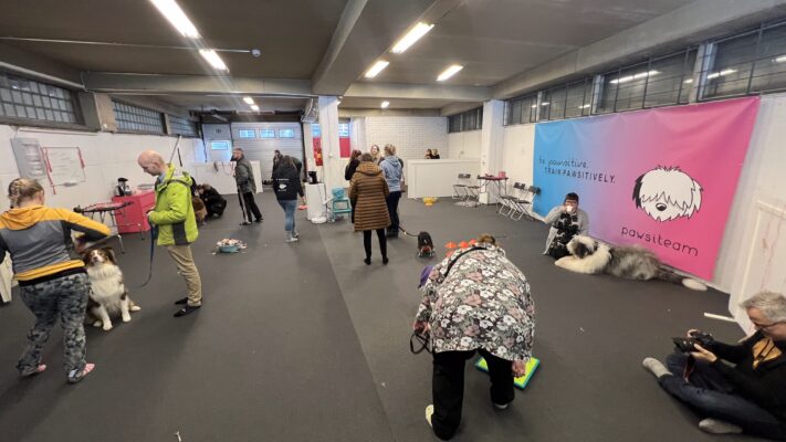 Helsingin hallin avajaistunnelmia