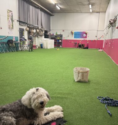 Kaarinan Jes-halli nykyään