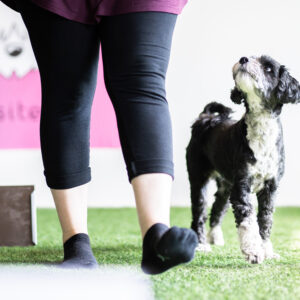 Rento Rally-Tokoryhmä