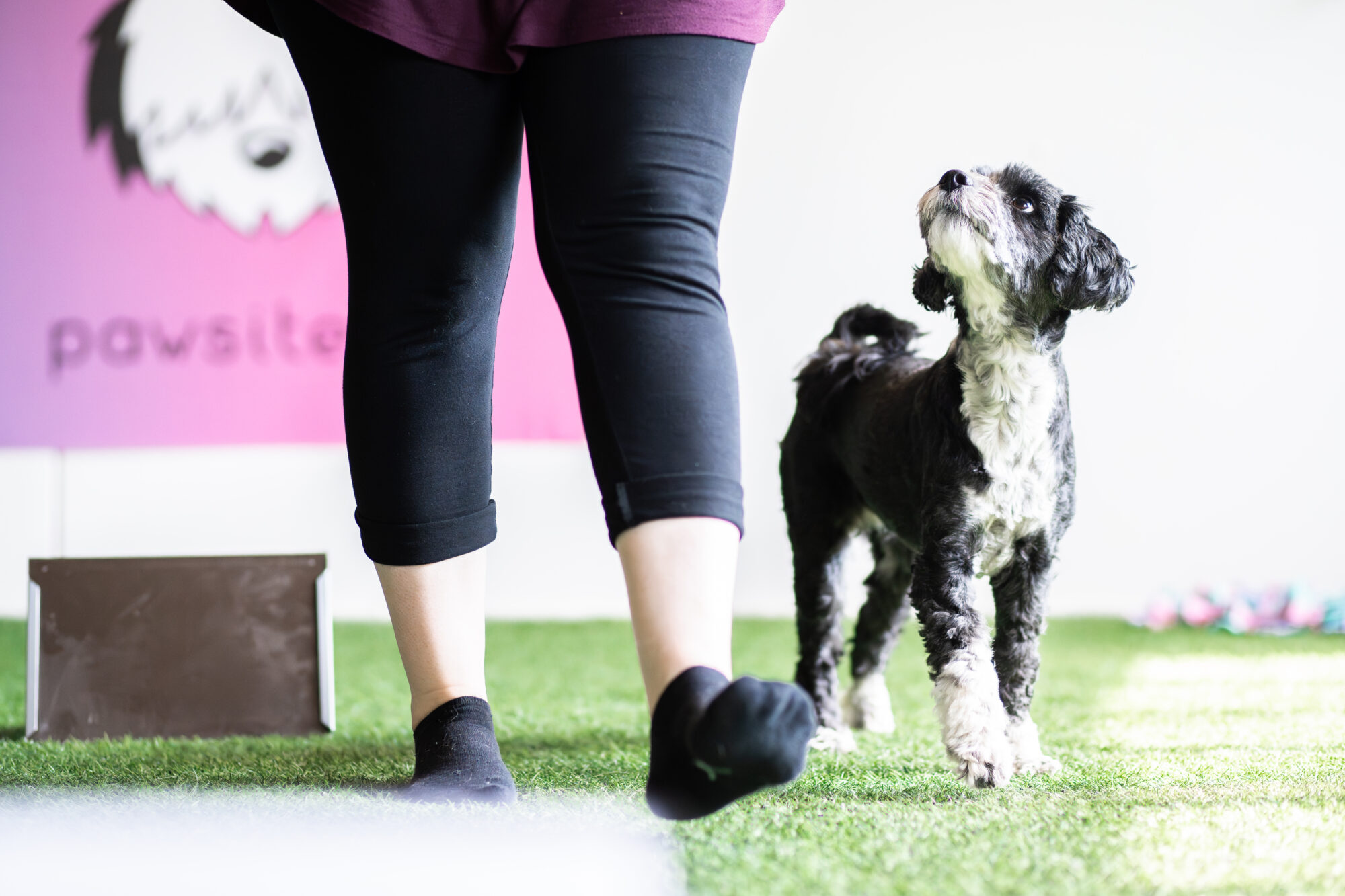 Rento Rally-Tokoryhmä