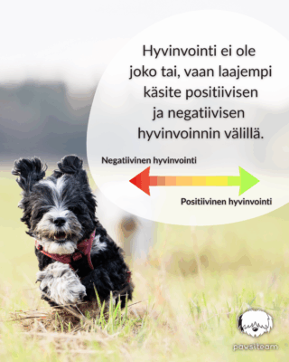 kaavio positiivisesta ja negatiivisesta hyvinvoinnista