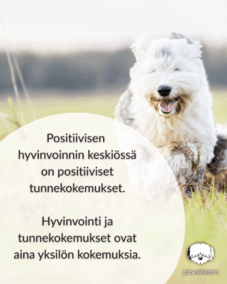 teksti positiivisesta hyvinvoinnista ja onnellinen koira