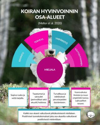 Koiran hyvinvoinnin osa-alueet