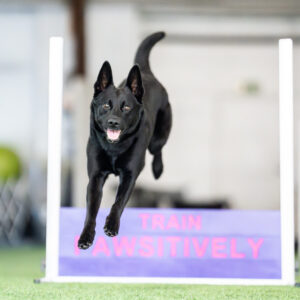 Huikea hyppy! – Rally-Tokon hyppykurssi